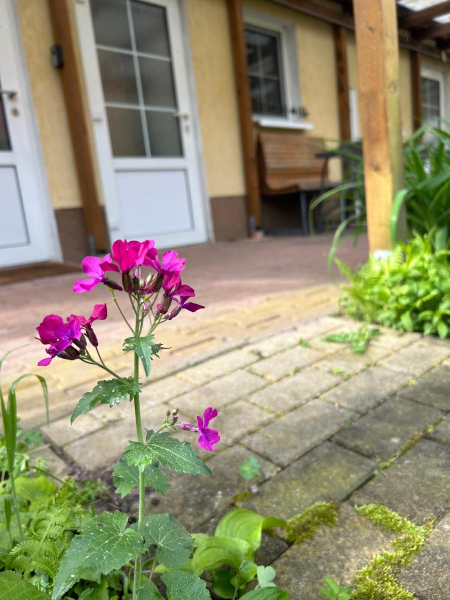 Gemuetliche Wohnung Landlust In See-Naehe Tauche 외부 사진
